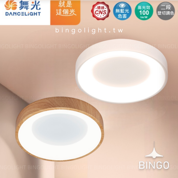 嫦娥吸頂燈