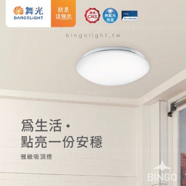 雅致單色吸頂燈