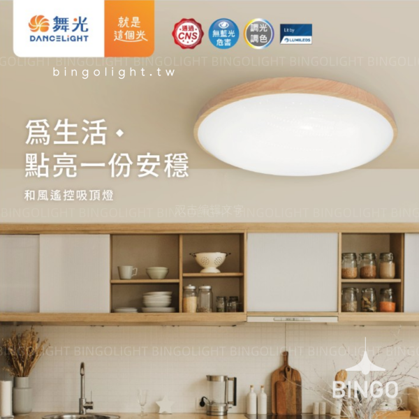 風姿吸頂燈